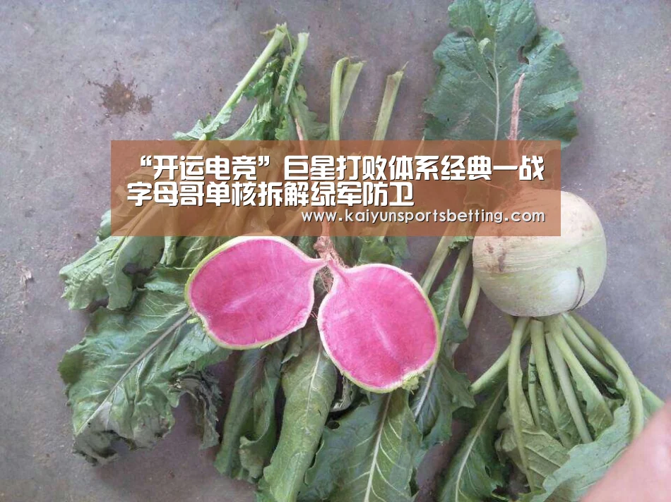 “开运电竞”巨星打败体系经典一战 字母哥单核拆解绿军防卫(图3) 开运真人
