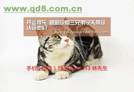 开运电竞