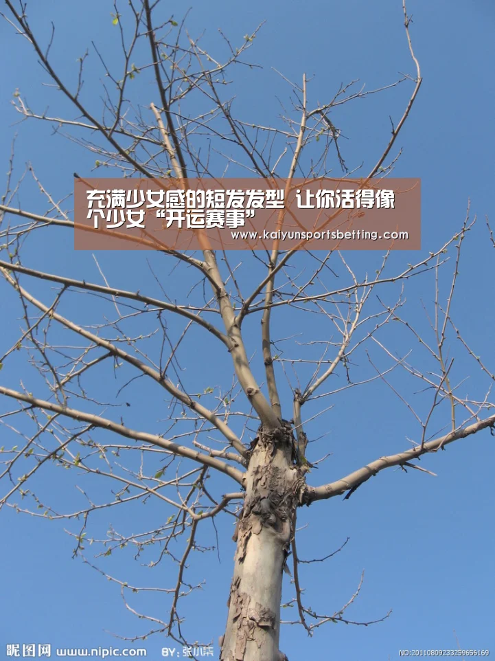开运赛事