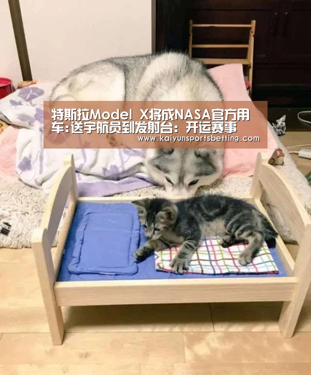 特斯拉Model X将成NASA官方用车:送宇航员到发射台:开运赛事(图1) 开运真人